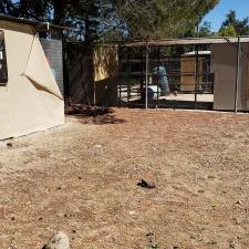 Before new lion enclosure construction moorpark ca (2)